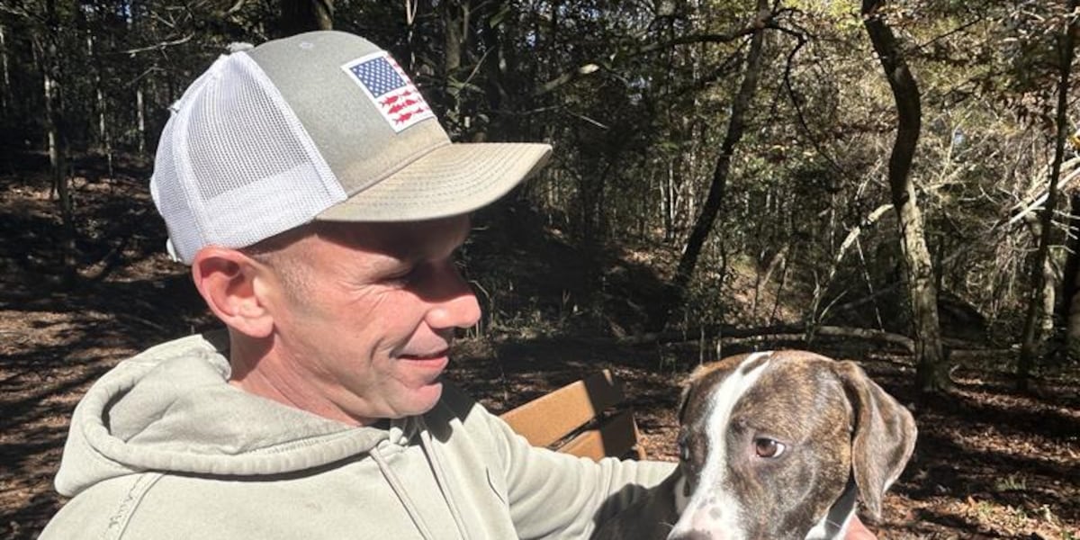 Tails wagging in year two as adoptions top 300