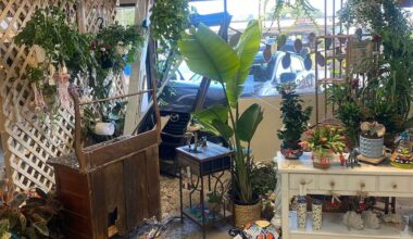 82-year-old driver crashes through front window of Jensen Beach store