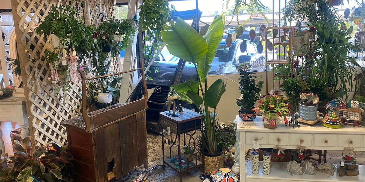 82-year-old driver crashes through front window of Jensen Beach store