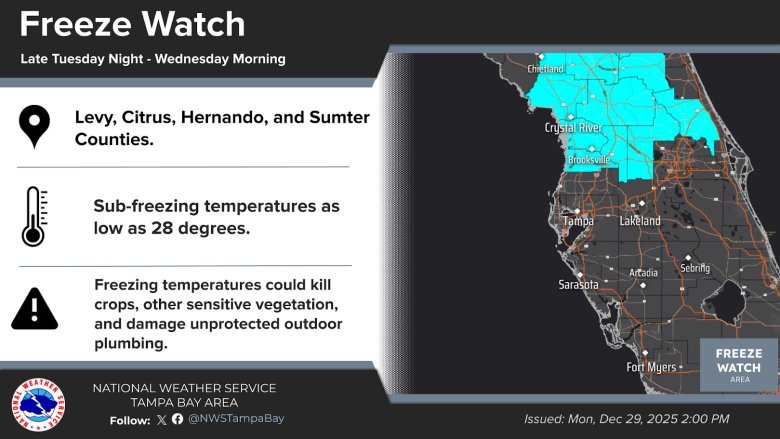 A weather alert graphic displaying three main points: the affected area (northern Tampa Bay counties), the temperature forecast (as low as 28 degrees), and a warning that freezing conditions could kill crops, sensitive vegetation, and damage outdoor plumbing.