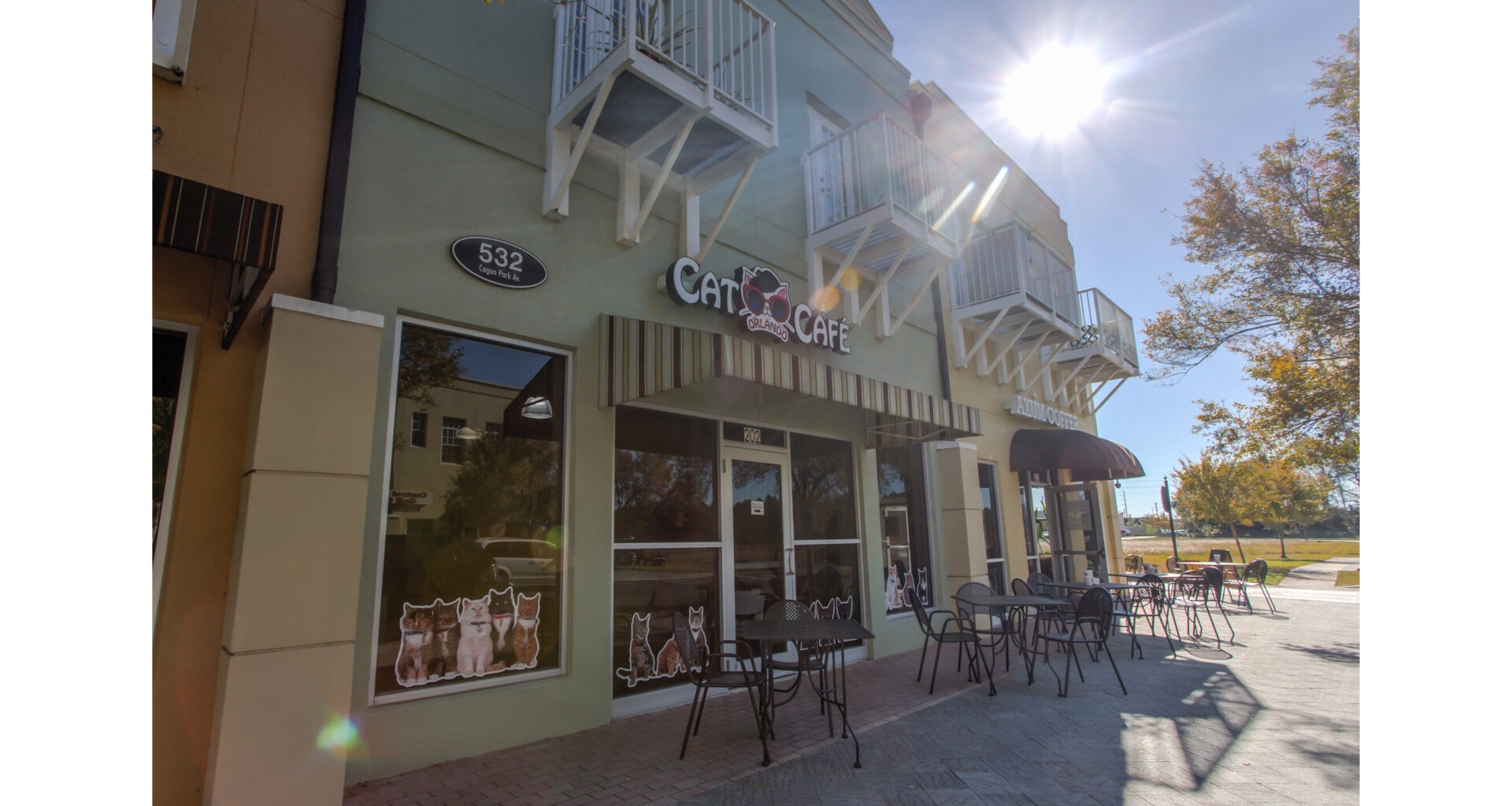 Orlando Cat Café Expands with First Franchise Sale, Bringing Unique Cat Lounge Experience to Dallas, Texas