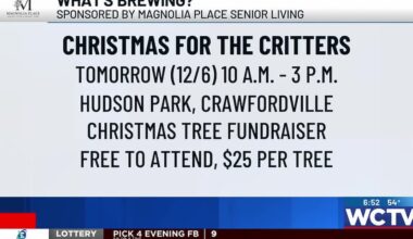 What’s Brewing - Christmas for the Critters