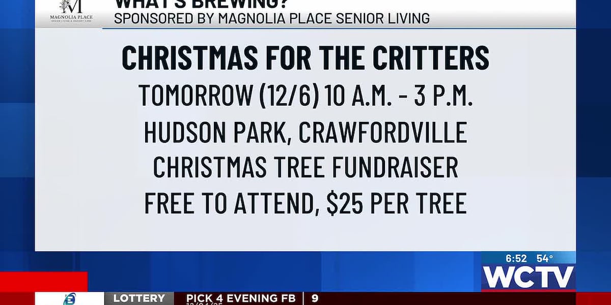 What’s Brewing - Christmas for the Critters