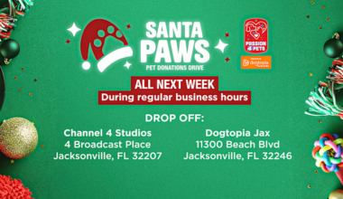 News4JAX, Dogtopia on Beach Boulevard launch Santa Paws drive for local shelter animals