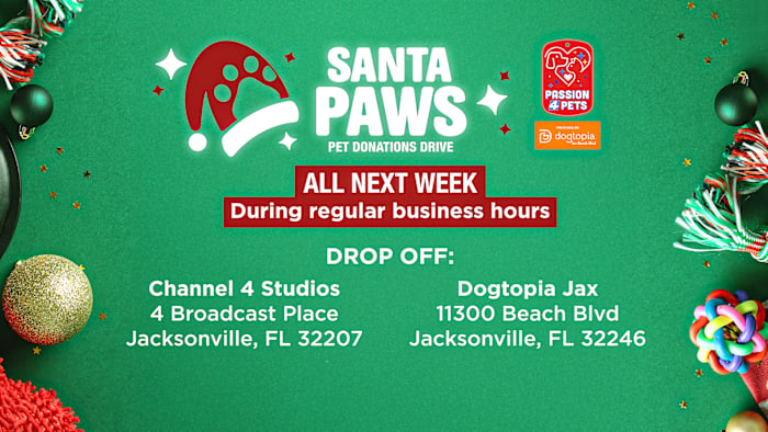 News4JAX, Dogtopia on Beach Boulevard launch Santa Paws drive for local shelter animals