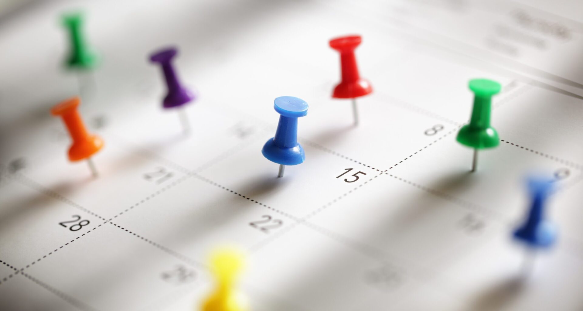 Events, Resources, Meetings & More – Week of Dec. 31