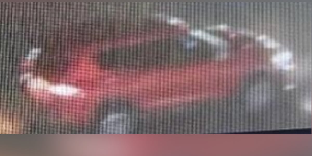 Pedestrian identified in fatal Jacksonville collision, police searching for SUV