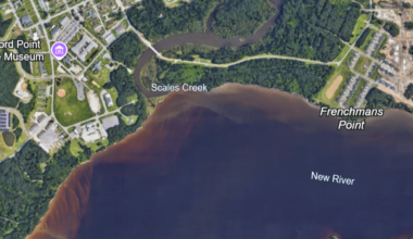 Untreated sewage released into Jacksonville's Scales Creek