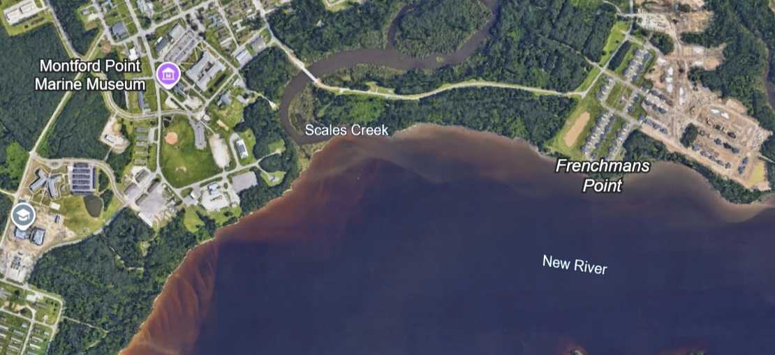 Untreated sewage released into Jacksonville's Scales Creek