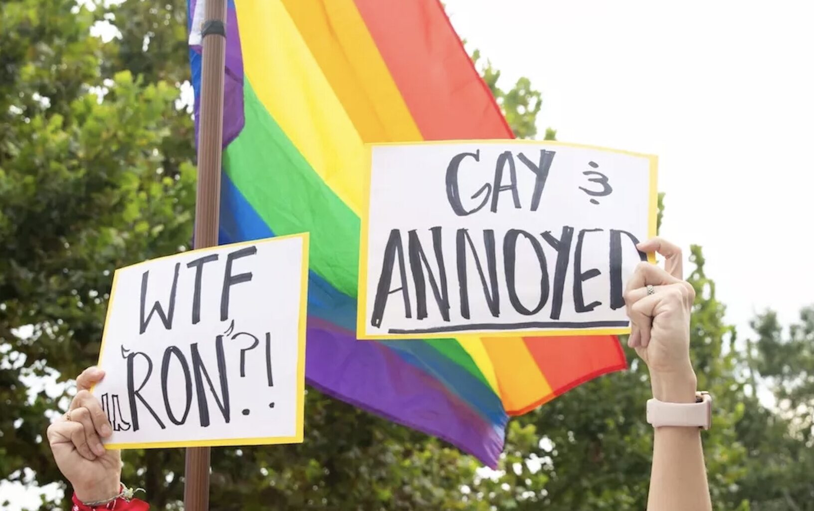 News you missed: 15 Orlando stories that flew under the radar in 2025