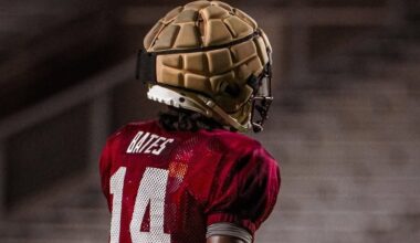 FSU defensive back plans to enter transfer portal