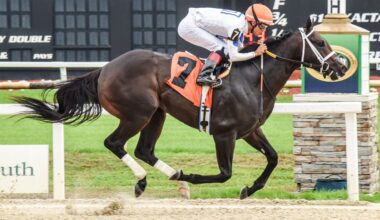 Dude! Yaupon's Solitude Dude Romps in Tampa's Inaugural