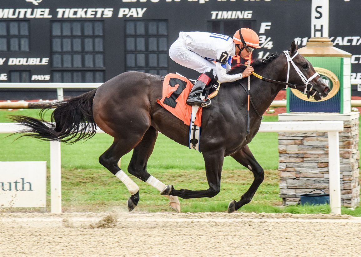 Dude! Yaupon's Solitude Dude Romps in Tampa's Inaugural
