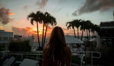 photo of the silhouette of a women watching the sun set behind palm trees on a hotel rooftop