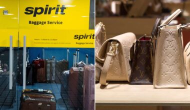 2 Spirit Airlines Employees Charged with Theft After Allegedly Stealing Passenger's $500 Louis Vuitton Bag