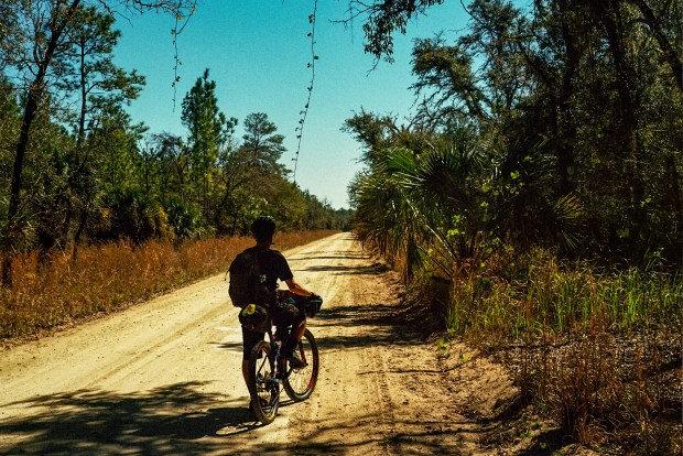 Patrick Connolly pauses for a break on a dirt road in Ocala National Forset on the third day of a bike ride across Florida on Feb. 17, 2025. (Courtesy of Ben Chalone)