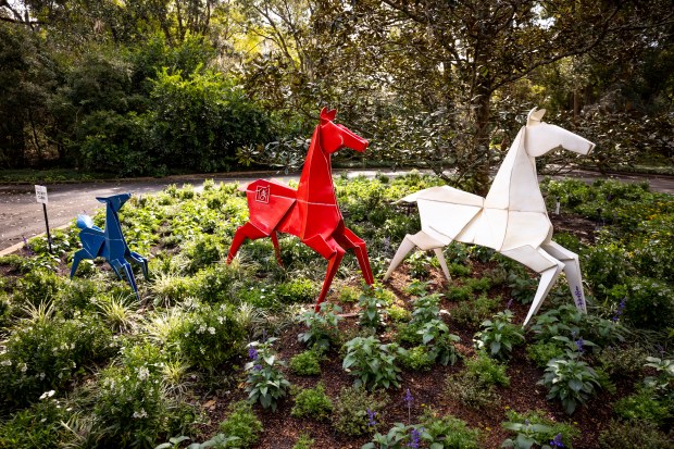 "Painted Ponies" are one of the highlights of "Origami in the Garden" at Leu Gardens in Orlando on Feb. 11, 2025. (Patrick Connolly/Orlando Sentinel)