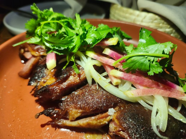 Duck, pre- carnitas-style shred. It doesn't stay this way for long. (Amy Drew Thompson/Orlando Sentinel)