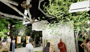 Sloth World experience set on International Drive