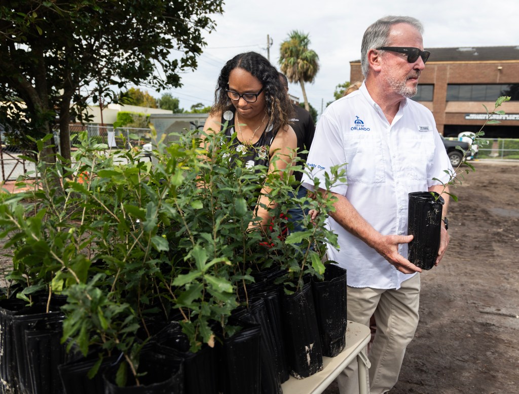 Letters: City's tree concerns are valid | Power hungry don't listen