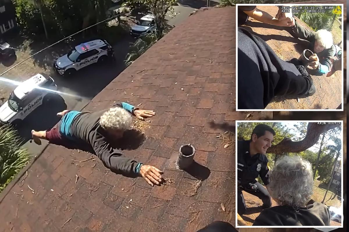Elderly Florida man rescued by cops after slipping while blowing leaves off roof: video