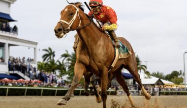 Florida Derby winner Tappan Street Returns at Gulfstream Friday
