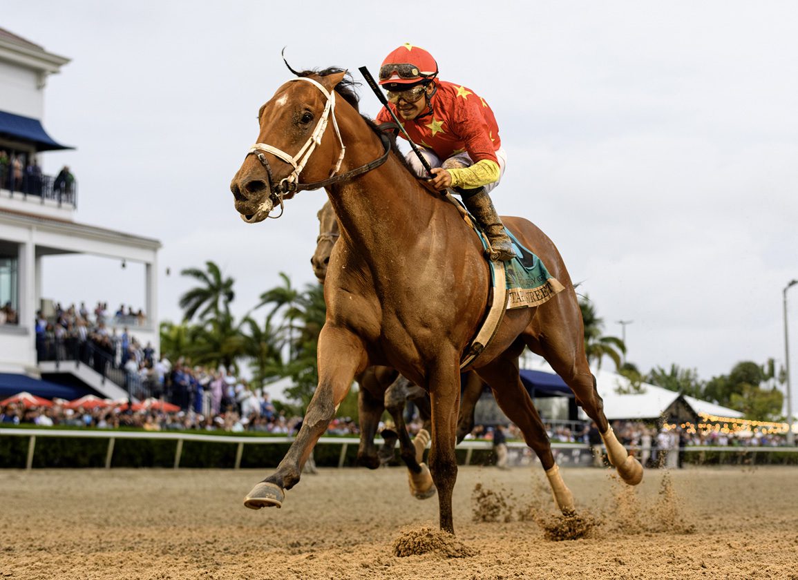 Florida Derby winner Tappan Street Returns at Gulfstream Friday