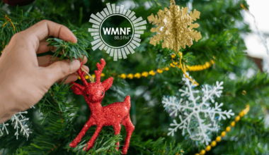 Tampa Bay Weekend Guide (December 19th - 21st)