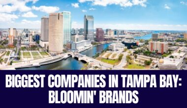 Aerial view of downtown Tampa and the Hillsborough River, home to Bloomin’ Brands headquarters.