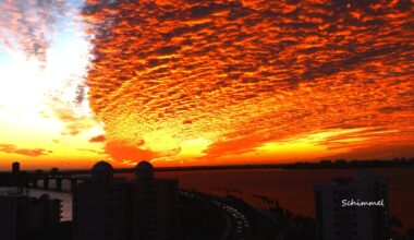 Bundle up as cold weather hits Florida