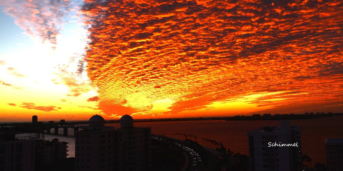 Bundle up as cold weather hits Florida