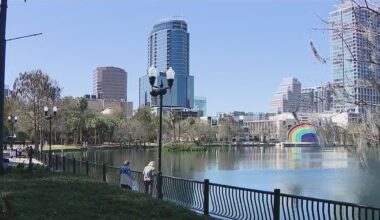 12 swans found dead at Lake Eola in Orlando, sparking bird flu concerns