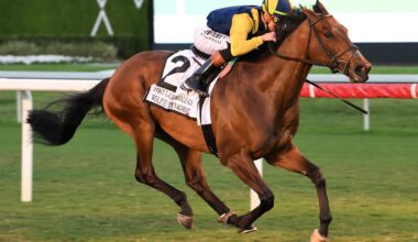 Wolfie's Dynaghost Wins Ft. Lauderdale In Record Time