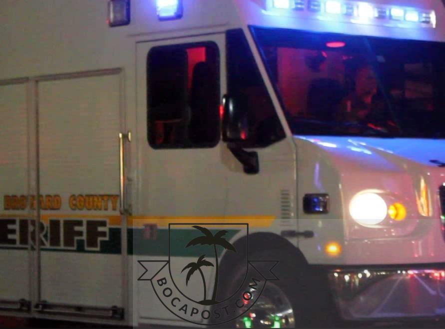 Woman Found Stabbed, Dead Near I-95 Off-Ramp