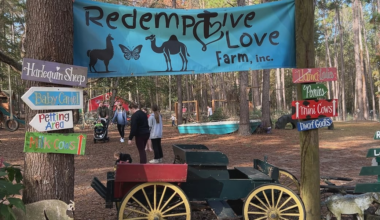 Leon County event gives families a chance to enjoy holiday festivities and learn about agriculture