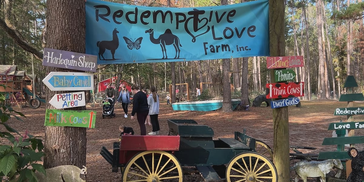 Leon County event gives families a chance to enjoy holiday festivities and learn about agriculture