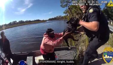 Fishermen help JSO officers rescue Frenchie stranded on island in Ribault River