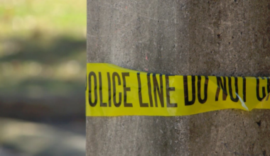 St. Petersburg serial burglar caught