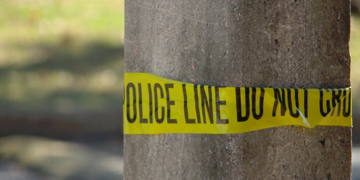 St. Petersburg serial burglar caught