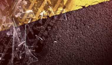 Fatal motorcycle crash on US 41