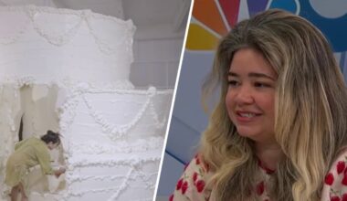 sugar and color make sharp commentary – NBC 6 South Florida