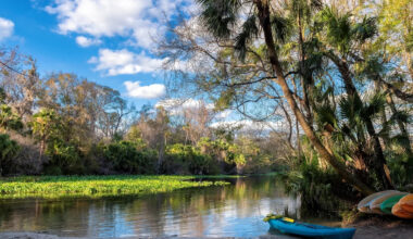 Yahoo lifestyle home