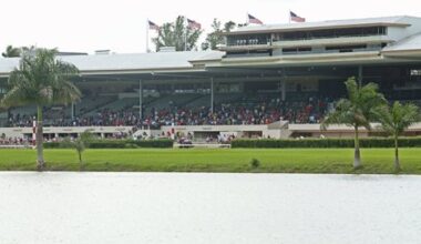 Study: Hialeah, Tampa, New Track Options for Florida