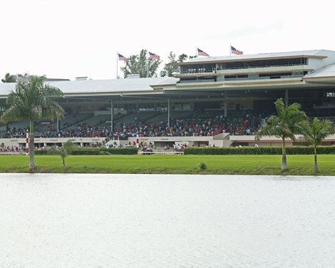 Study: Hialeah, Tampa, New Track Options for Florida