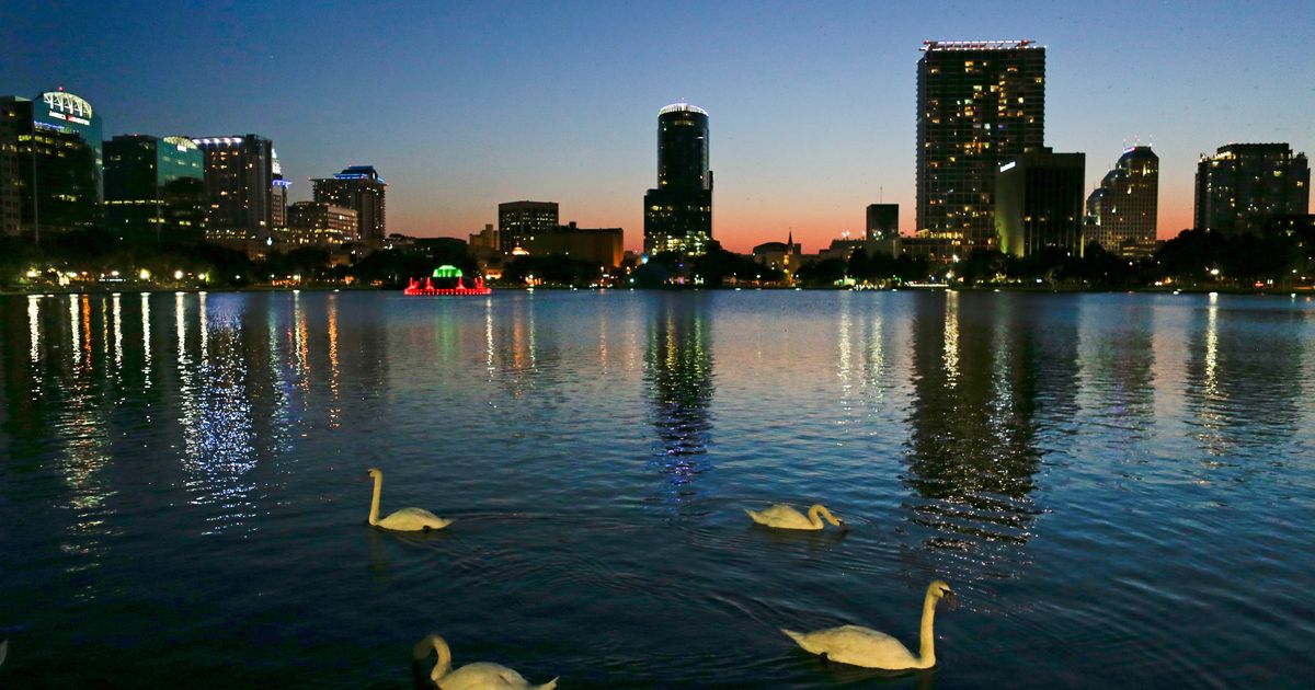 Officials suspect bird flu after 12 swans die at Orlando's Lake Eola :: WRAL.com