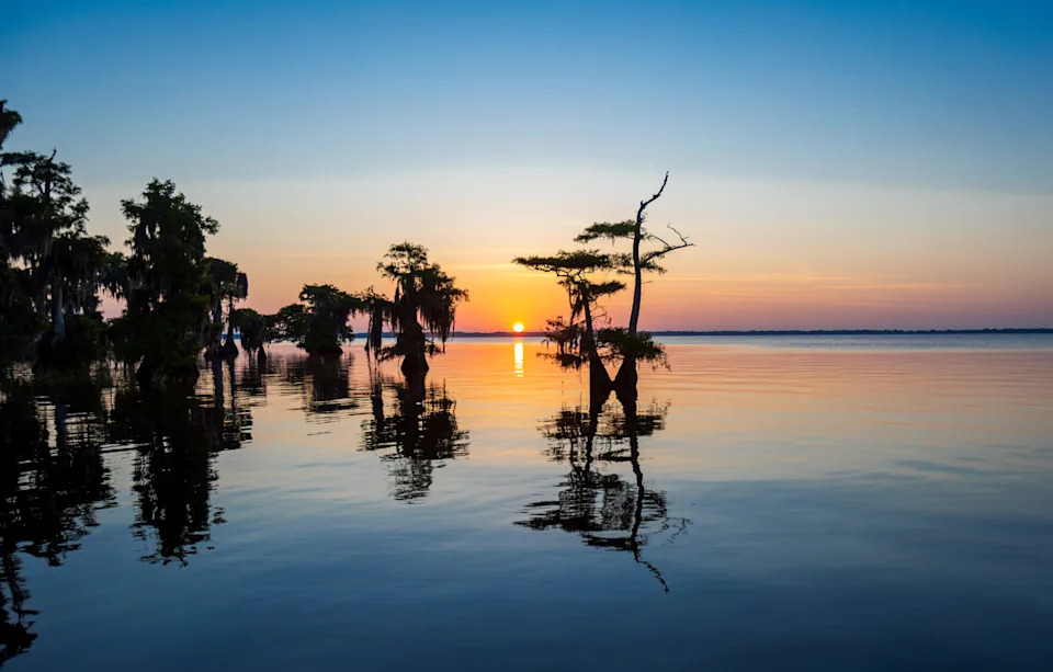 Sunset at Blue Cypress Lake, Fla. Taken with a Canon R5 Camera and a 100-500mm lens.