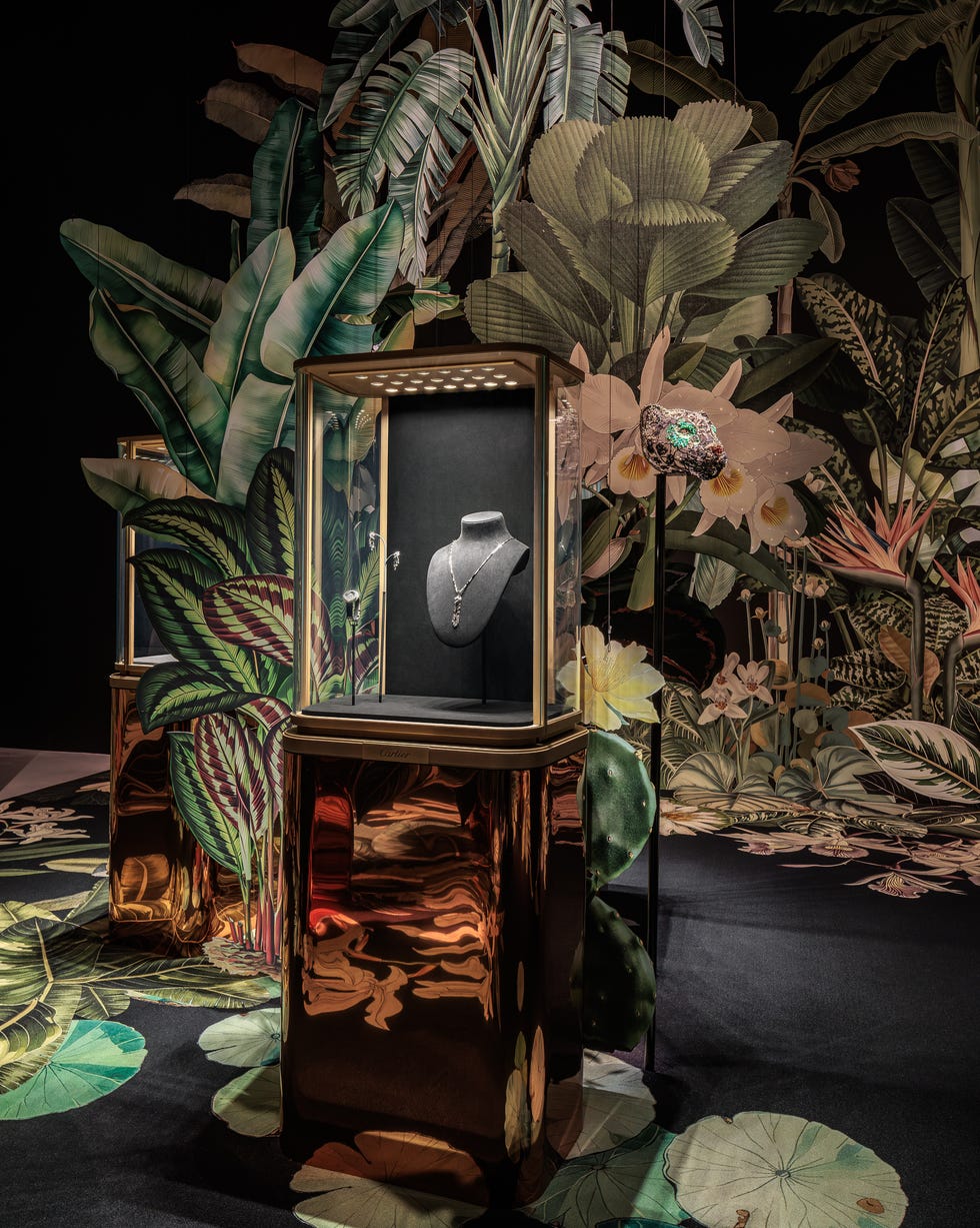 cartier into the wild