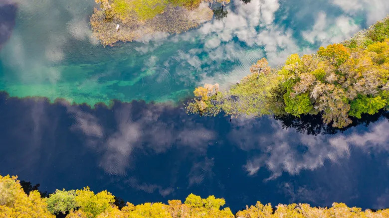 aerial view of the confluence of the rainbow and withlacoochee rivers