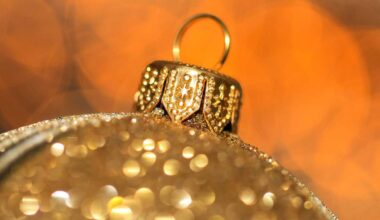 Fun things to do in South Florida