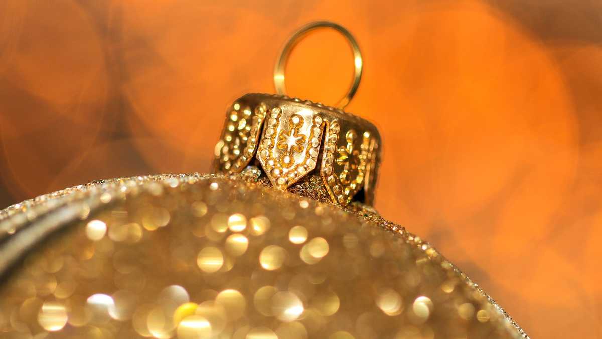 Fun things to do in South Florida